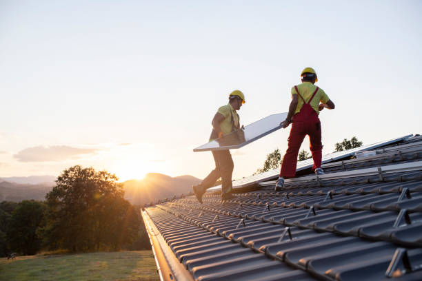 Best Roof Maintenance and Cleaning  in Fallbrook, CA