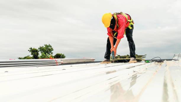 Best Sheet Metal Roofing  in Fallbrook, CA