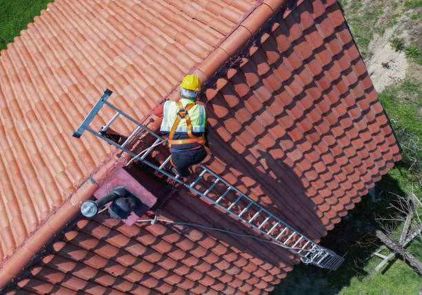 Best Roof Coating and Sealing  in Fallbrook, CA
