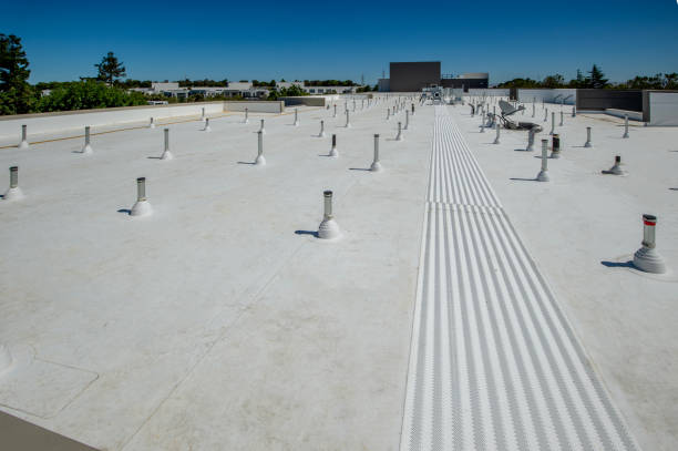 Best Solar Panel Roofing Installation  in Fallbrook, CA